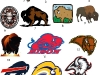 buffalos-mascots