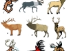 elk-mascots