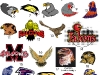falcons-mascots