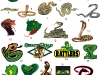 snakes-mascots